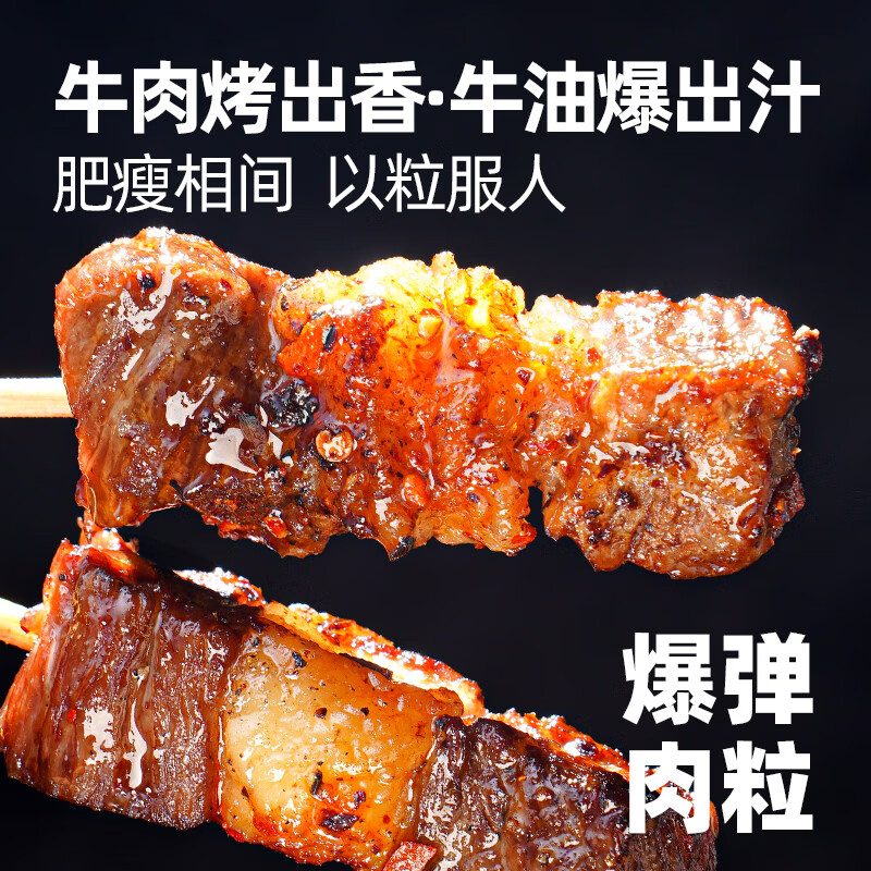 大希地 牛肉串 120g 任选5件 8.79元（需买5件，需用券）