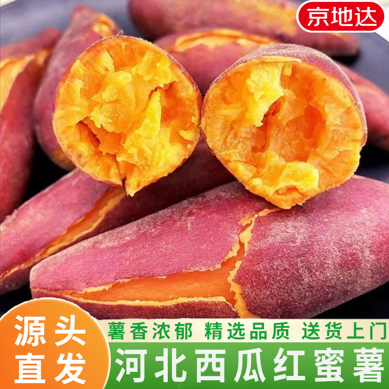 京地达 河北西瓜红蜜薯烤红薯番薯新鲜蔬菜净重4.5斤单果100g+果源头直发 27.