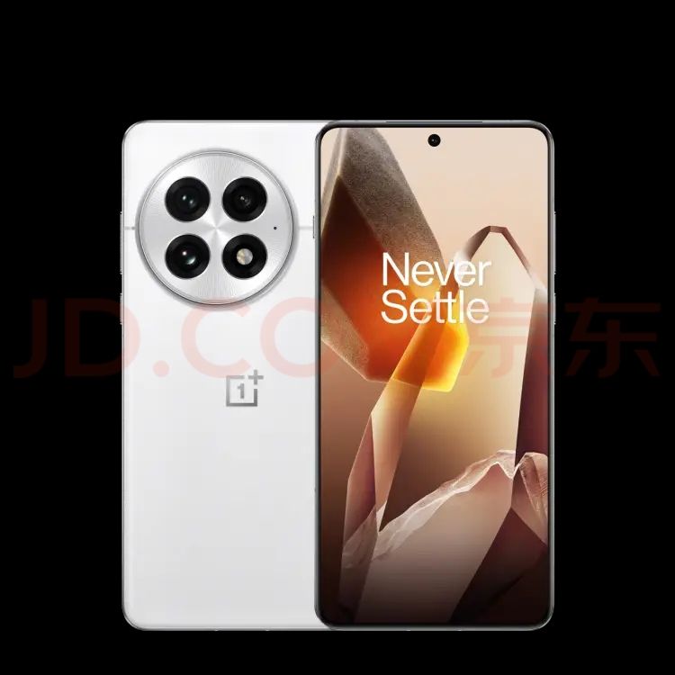 京东百亿补贴、PLUS：OnePlus 一加 13 5G手机 12GB+256GB 3979.01元