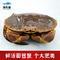 京东百亿补贴：渔传播 鲜活面包蟹 1-1.2斤 1只---99元包邮
