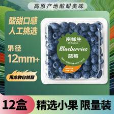 Mr.Seafood 京鲜生 云南蓝莓 12盒装 果径12mm+ ￥78.3