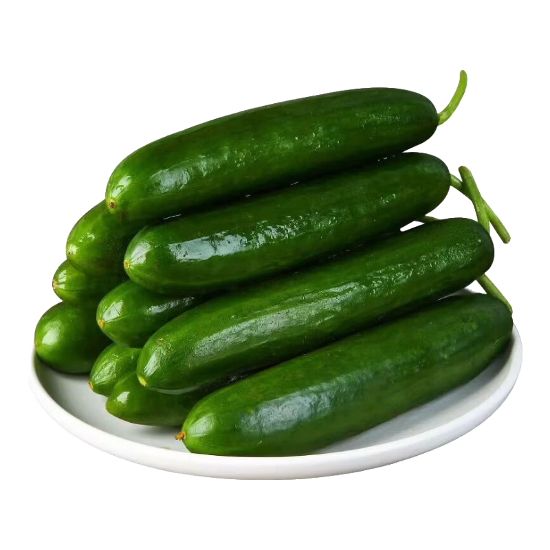 东东买菜 寿光小黄瓜 荷兰黄瓜 新鲜蔬菜 4斤 9.99元