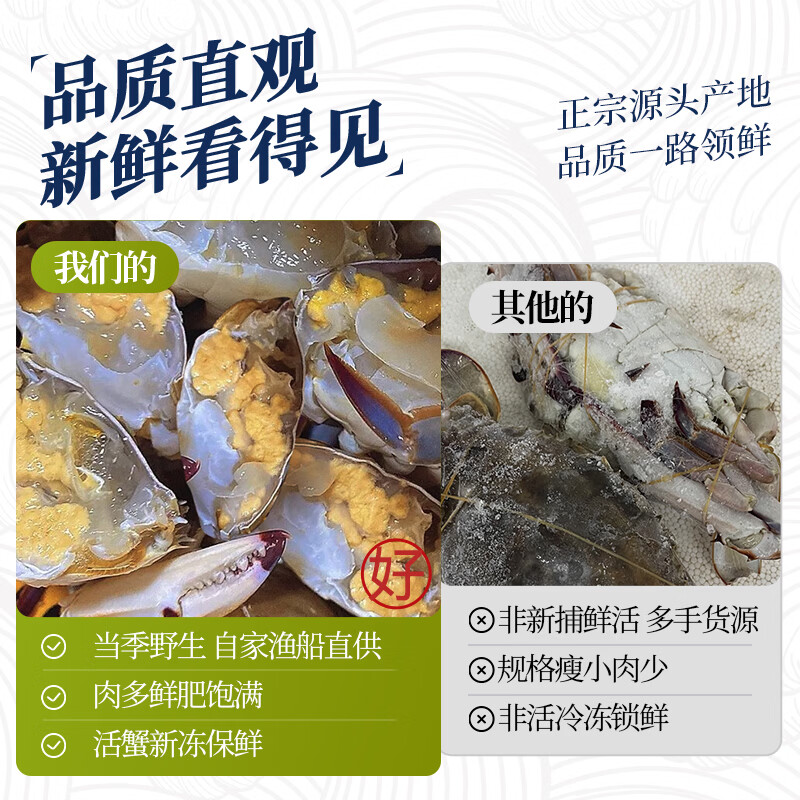 森农乐 舟山梭子蟹新鲜特大野生螃蟹 5-7两/只 107.87元 - 清风线报