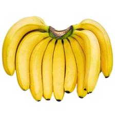 plus:国产高山甜糯香蕉 当季新鲜水果芭蕉薄皮整箱青果发货 带箱4.5kg【普通