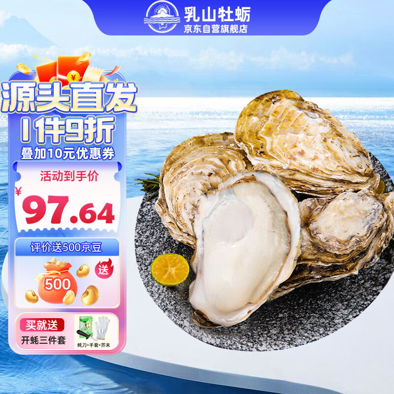 乳山牡蛎 鲜活乳山生蚝5XL号 户外烧烤食材 净重2.5kg 7-12只 73.25元（需用券）