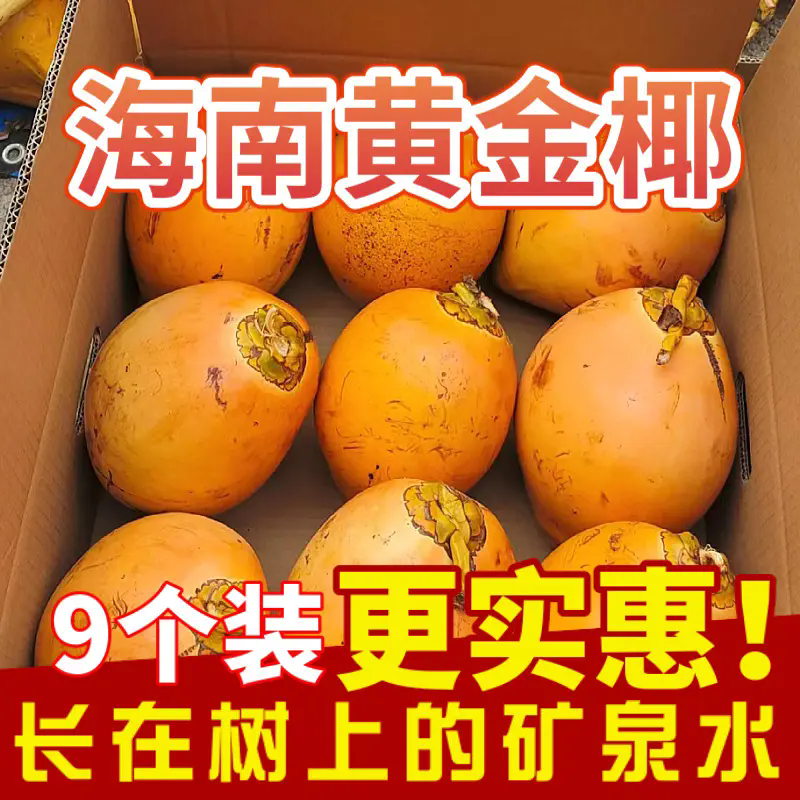 福小土 海南新鲜现摘黄金椰子九个装 129.5元（需用券）