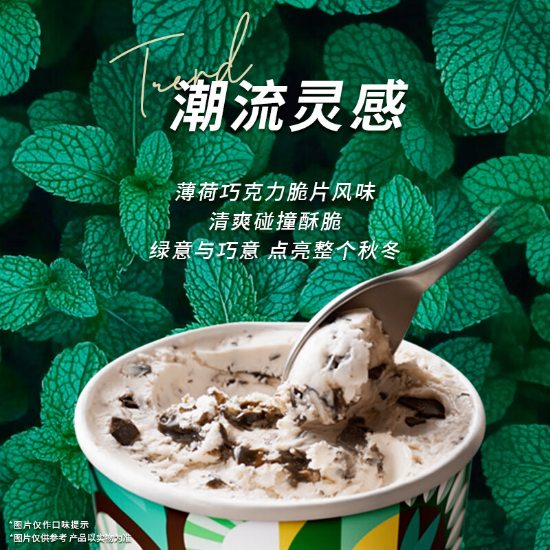 Häagen·Dazs 哈根达斯 Haagen-Dazs）薄荷巧克力脆皮脆片风味冰淇淋100ml（2种口