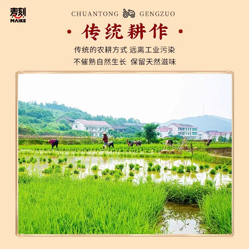 麦刻 五常大米优质一等 当季新米 真空锁鲜 5kg×1袋 26.3元 - 线报酷
