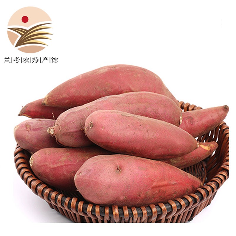 plus会员、需首购：兰禾湾 河南开封 红薯沙地蜜薯 3斤 8.8元包邮