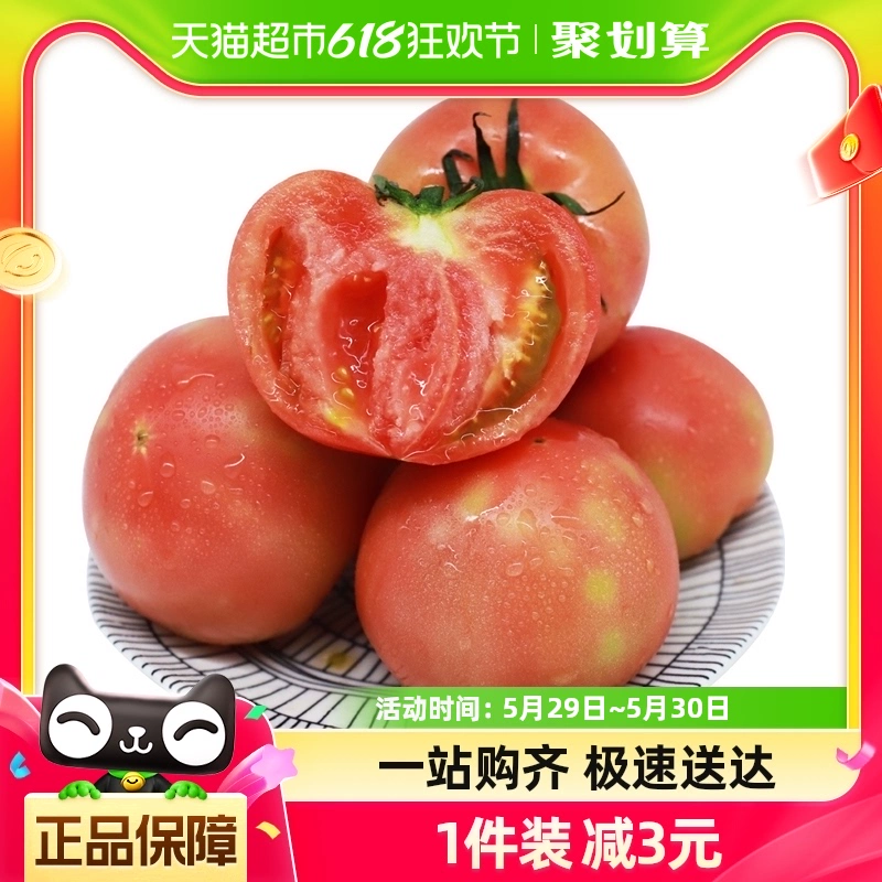 青粉番茄生吃沙瓤西红柿 2.5kg ￥18.5