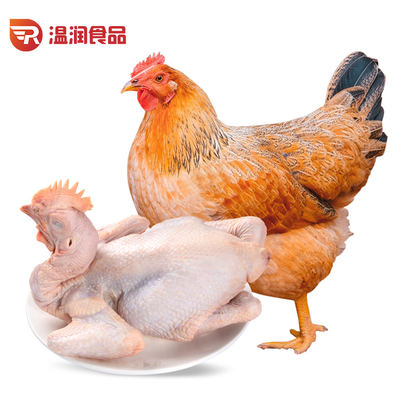 温润 黄羽三黄鸡1kg 19.99元（需买5件，需用券）