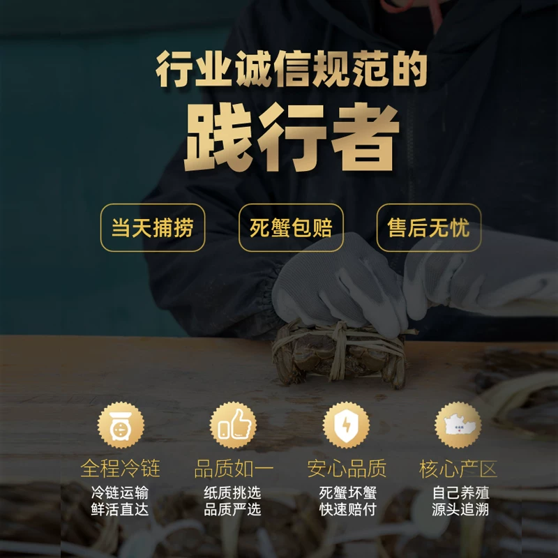 陈鲜生 活蟹阳澄湖大闸蟹3两全母蟹螃蟹大闸蟹礼盒鲜活水产官方旗舰店 218元 - 86线报