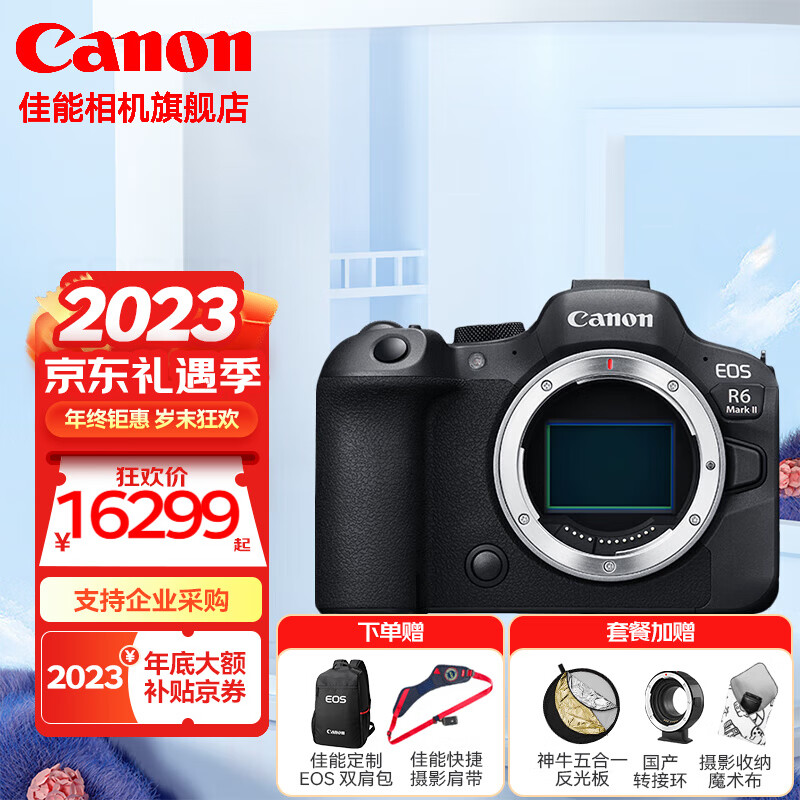 Canon 佳能 EOSR6二代全画幅高端专业微单数码照相机视频直播高清相机 R6二代