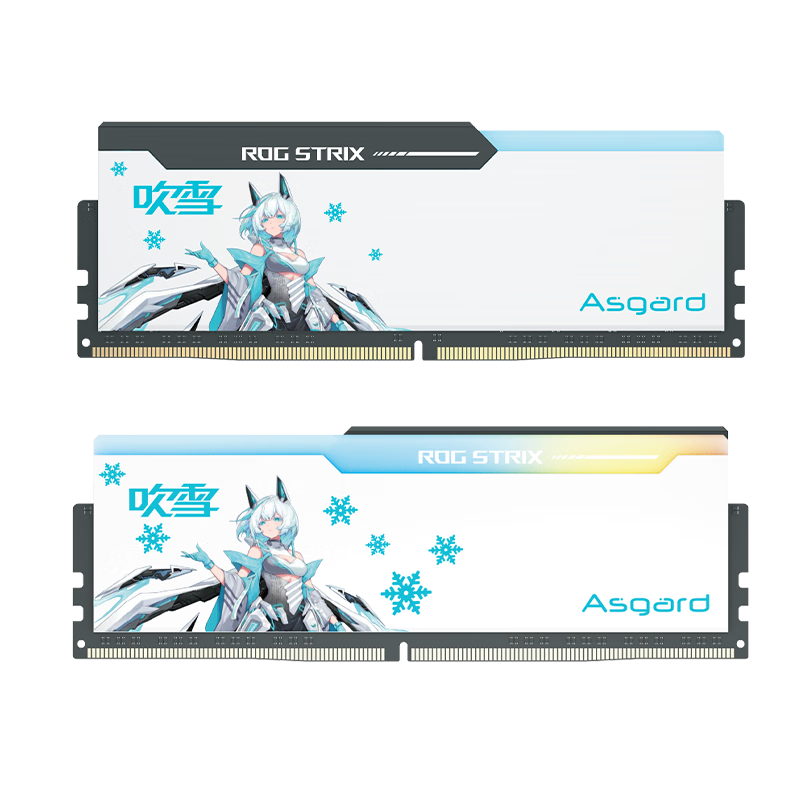 PLUS会员：阿斯加特（Asgard）32GB(16GBx2)套 DDR5 6400 台式机内存 RGB灯条-吹雪联