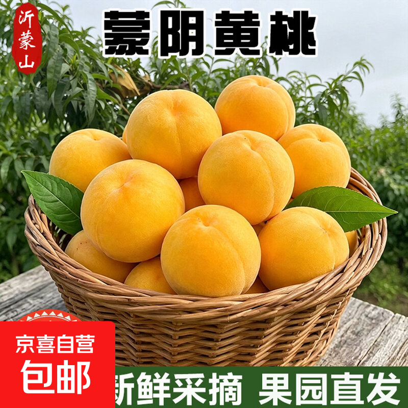 山东蒙阴黄桃 中果 120g+ 带箱5斤 22.9元