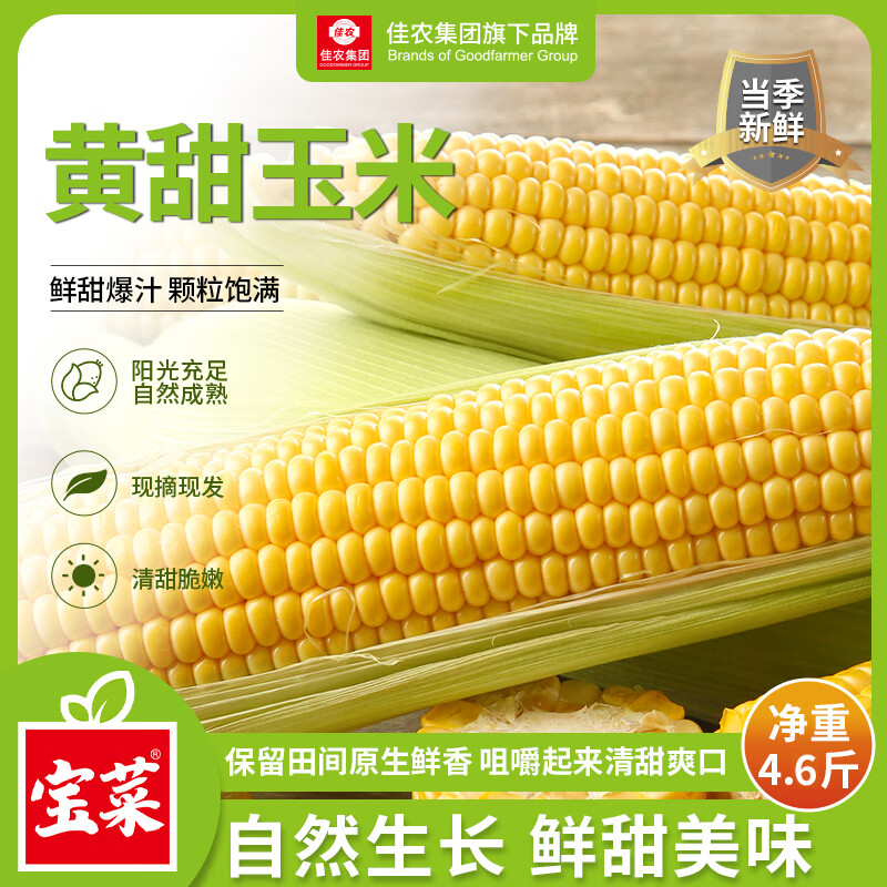 佳农 宝菜山东新鲜水果玉米现摘鲜甜多汁5-6根净重4.5斤源头直发 16.89元 - 86线报