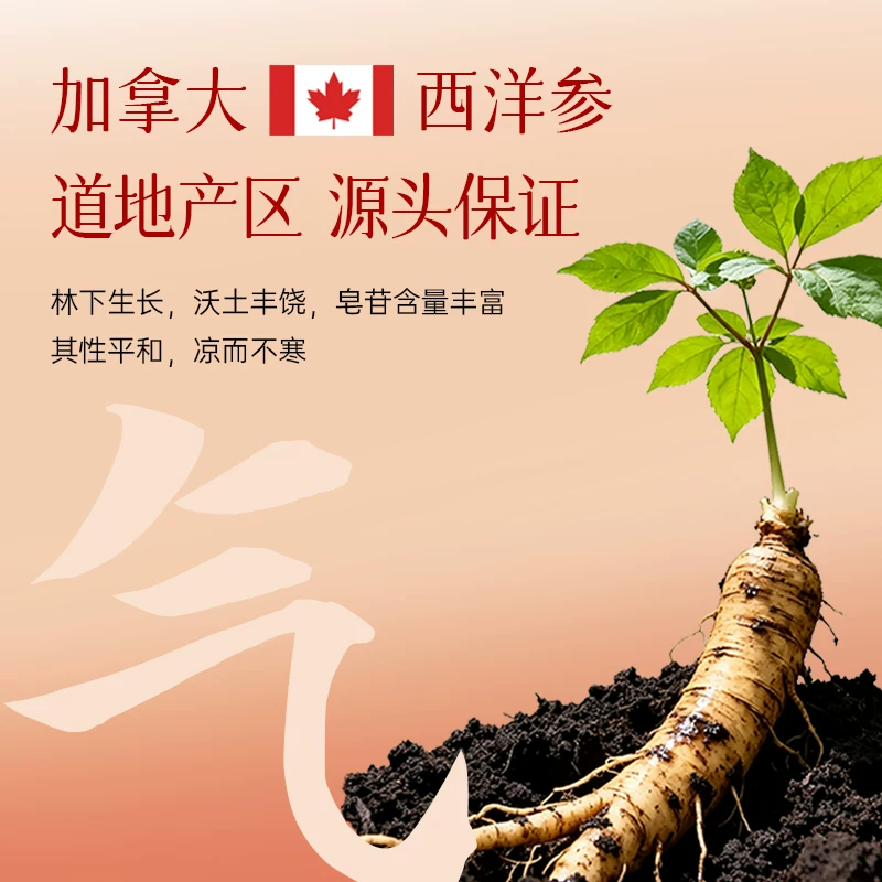 仲景 西洋参玉灵膏桂圆龙眼肉营养品女性内调滋补气血养生膏10条装 39元淘金币到手24.42元 - 线报酷
