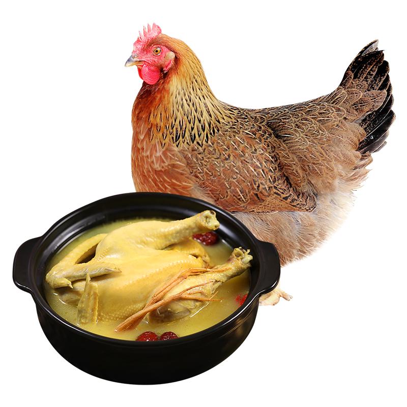 温润 食品液氮清远脆皮老母鸡2.4斤 500天以上生态散养原种清远老母鸡 土鸡 