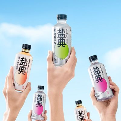 再降价：康之味 盐典电解质水366ML*6瓶*2件 9.4元包邮（需领券，合4.7元/件）