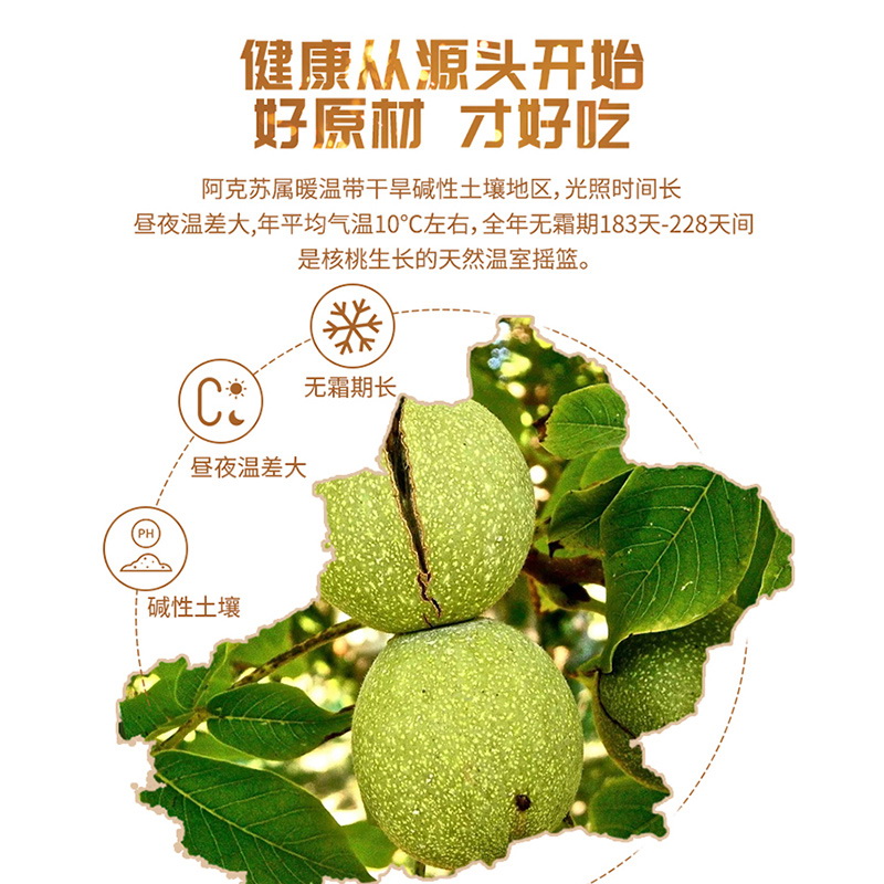 耘田生活 新疆阿克苏185纸皮烤核桃蜂蜜味500g 49.9元（需用券）