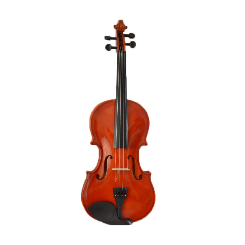 lebeizi 乐贝姿 初学者儿童小提琴成人小提琴儿童入门 189元