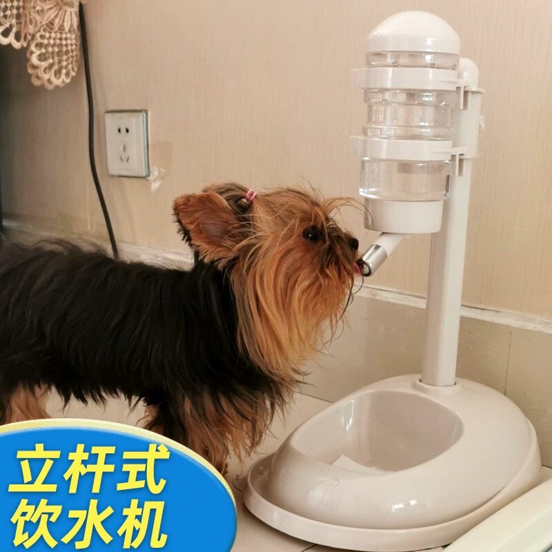 Aseblarm宠物不湿嘴狗狗饮水机自动挂式比熊喝水器猫咪喂食喂水器立式水壶 