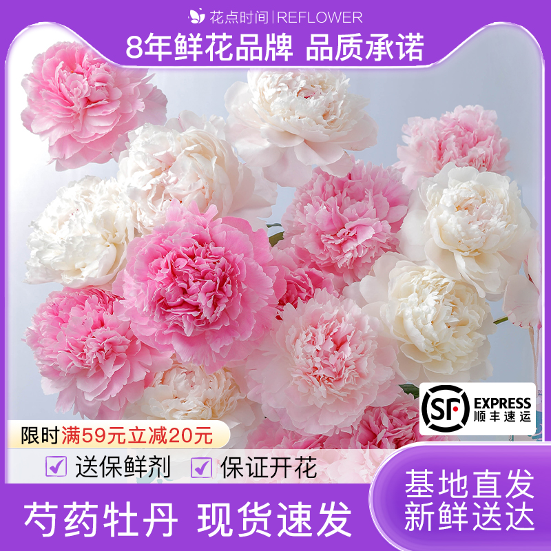 花点时间 山东重瓣芍药鲜切花沙拉芍药鲜花 19.85元（需用券）