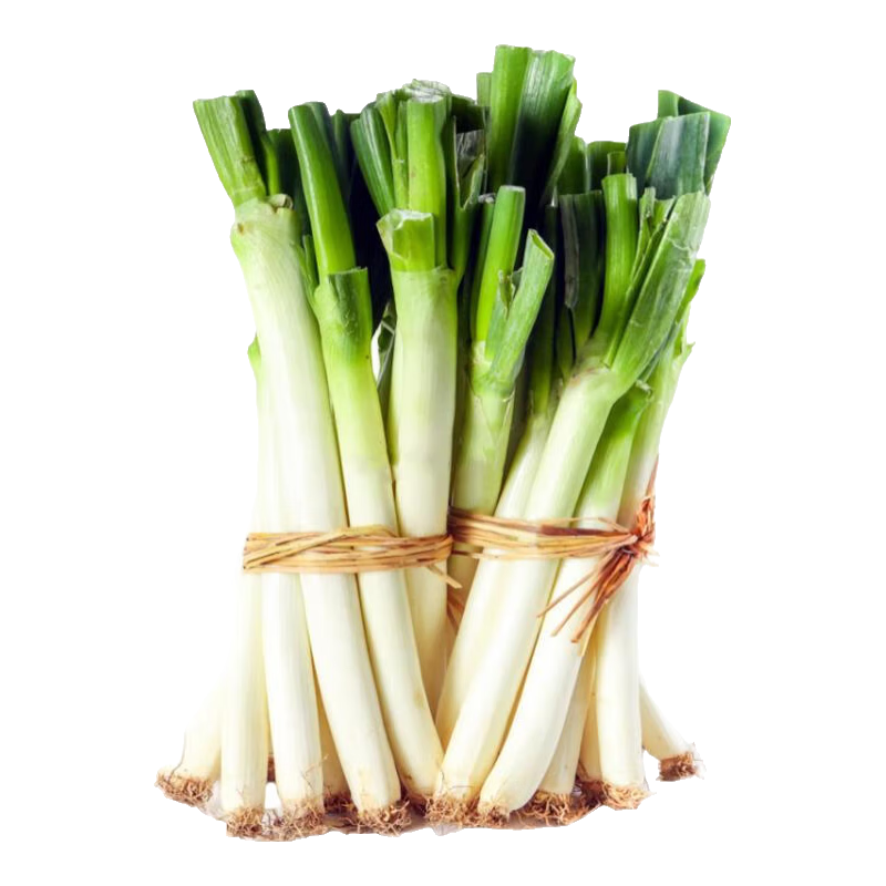 黄六爷 山东正宗章丘铁杆大葱 新鲜现挖甜葱 净重2500g 7.9元/净重五斤！