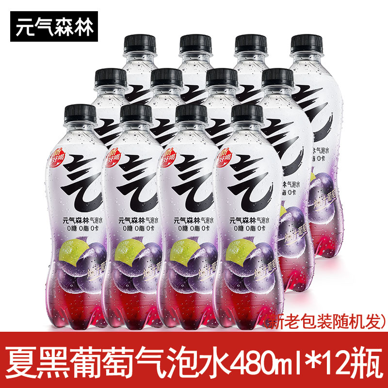 元气森林 元気水 苏打气泡水 夏黑葡萄味 480ml*15瓶 43.2元（需用券）