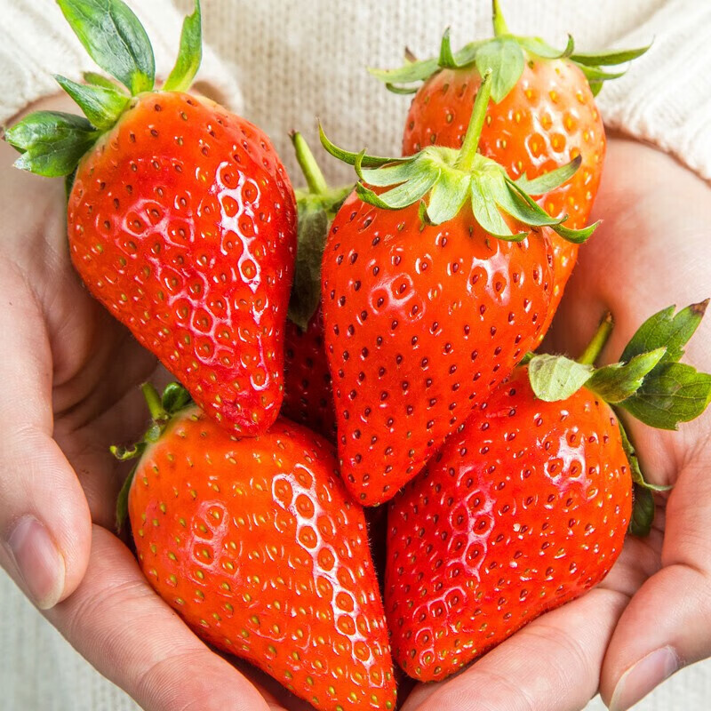 鲁中老农章姬奶油草莓单果12g15g53元
