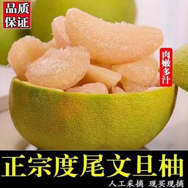 抢尝新鲜头茬 度尾头茬 文旦柚（拍4斤直发5斤） 34.26元（需用券）