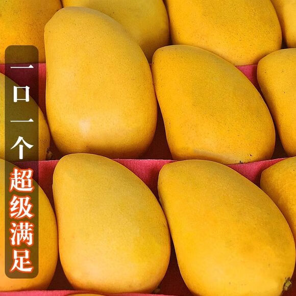 集年鲜 海南贵妃芒果整箱 净重4.5斤钻石果 单果100-150g 7.92元