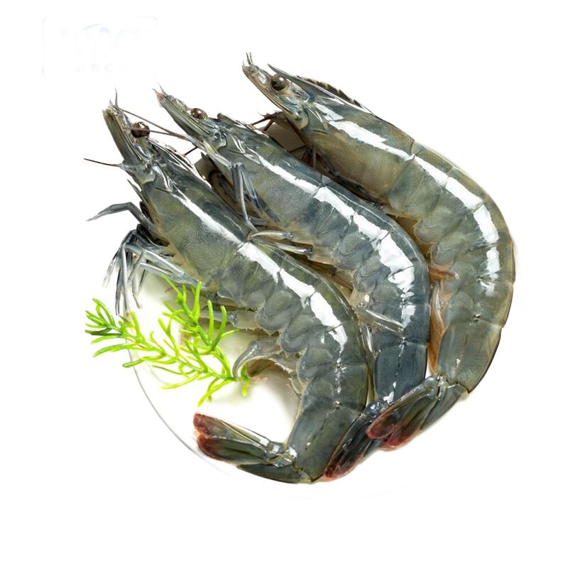 XYXT 虾有虾途 新鲜青岛大虾 单只14-16厘米 2kg 87.9元（需用券）