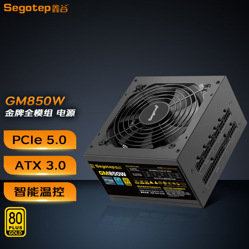 Segotep 鑫谷 GM1000w 金牌全模组电源 ATX3.0冰山版白色 支持4090 GM850W 金牌全模 