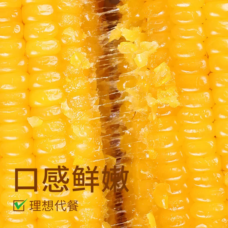 啃糯 东北当季新鲜糯玉米非转基因玉米真空锁鲜粘甜糯香低脂玉米棒 16.9元 - 清风线报
