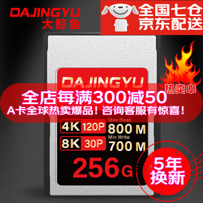 DAJINGYU 大鲸鱼cfa卡CFexpressTypeA存储卡适用a1 A7 FX3 FX6 CFE-A黑金款-256G 存储卡+CFE