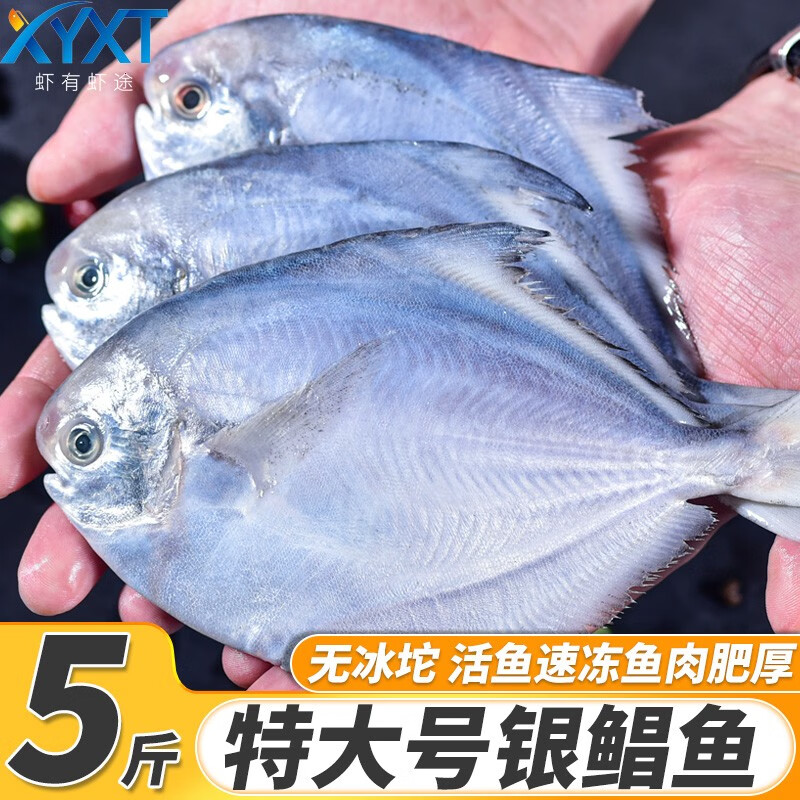 XYXT 虾有虾途 银鲳鱼 5斤 每斤约3-4条 69.9元