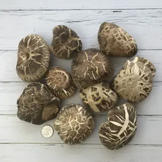 丑菇冬菇香菇花菇干货500g 30.5元 - 线报酷 丑菇冬菇香菇花菇干货500g 30.5元 - 线报酷