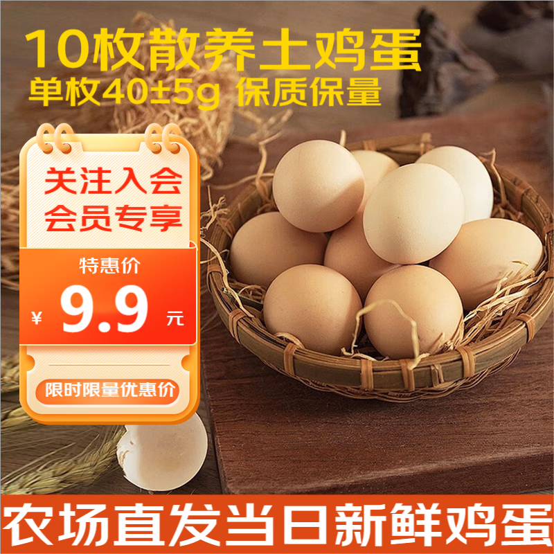 大手哥 新鲜散养农家土鸡蛋 40g*10枚 7.9元（需用券）