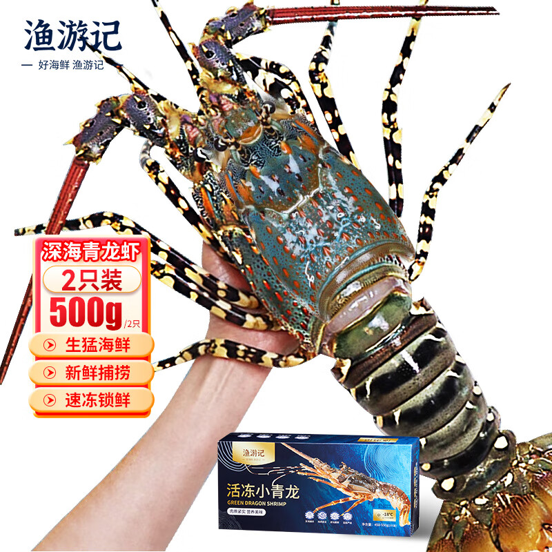 渔游记 YUYOUJI）印尼小青龙虾500g/2只 117.88元（需买2件，需用券）
