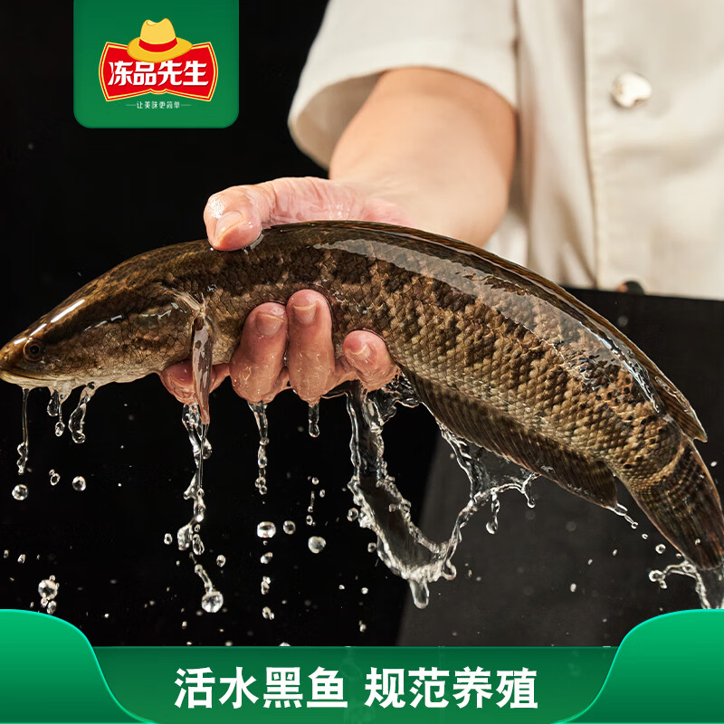 冻品先生 安井 免浆黑鱼片 250g*3盒 水煮鱼生鲜食材 冷冻鱼类方便菜 16.19元 - 线报酷