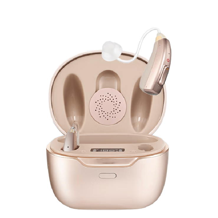 科大讯飞 VAN 610 助听器 星耀版 双耳 2396.19元