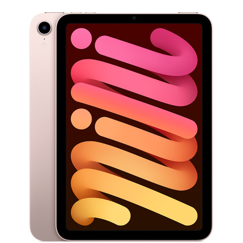 Apple 苹果 iPadmini 8.3英寸平板电脑 2021款（64GB WLAN版/学习办公娱乐游戏/MLWL3CH/