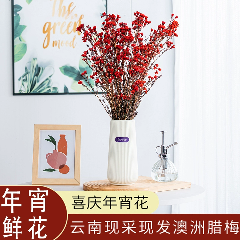 腊梅+含花瓶 澳洲腊梅年宵花装饰 券后19.9元