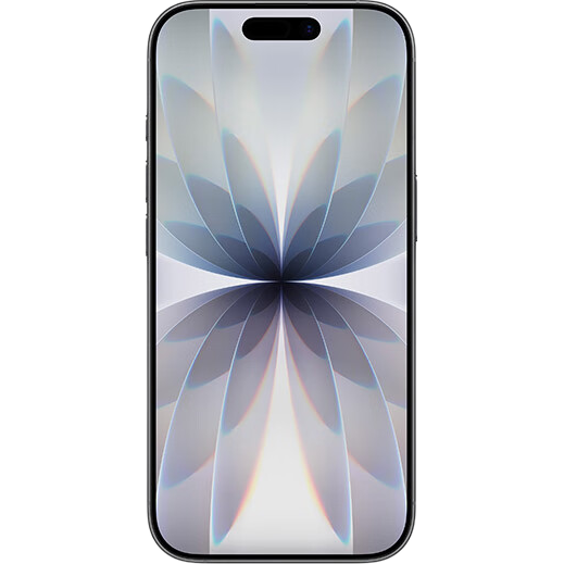 Apple iPhone 17 黑色 256G 双卡双待 5369.51元
