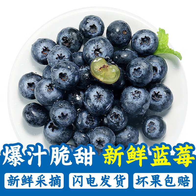 再降价、京东百亿补贴、plus会员立减:京丰味蓝莓 新鲜时令国产蓝莓水果 125