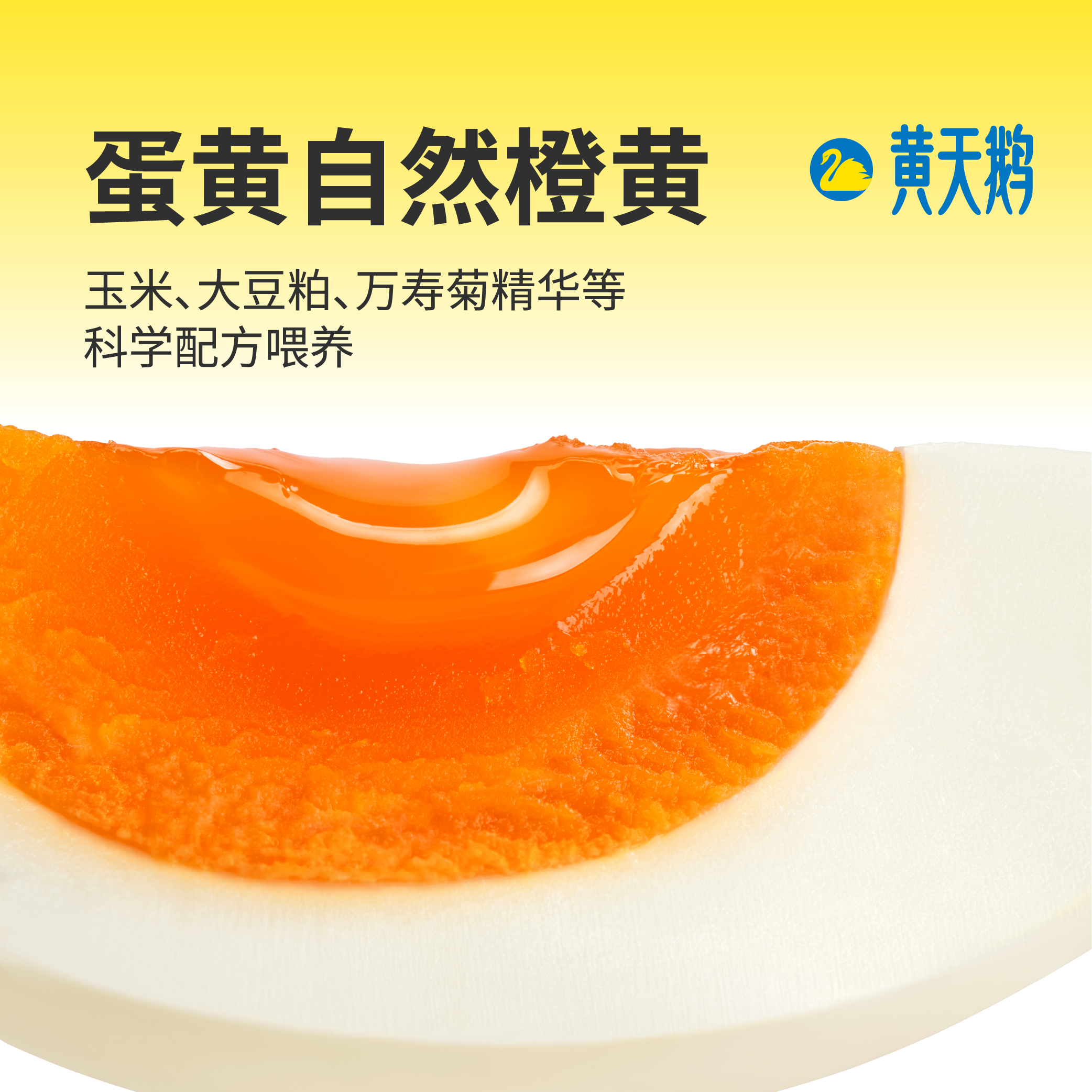 黄天鹅 可生食鲜鸡蛋 30枚 1.59kg 礼盒装 49.88元 - 86线报