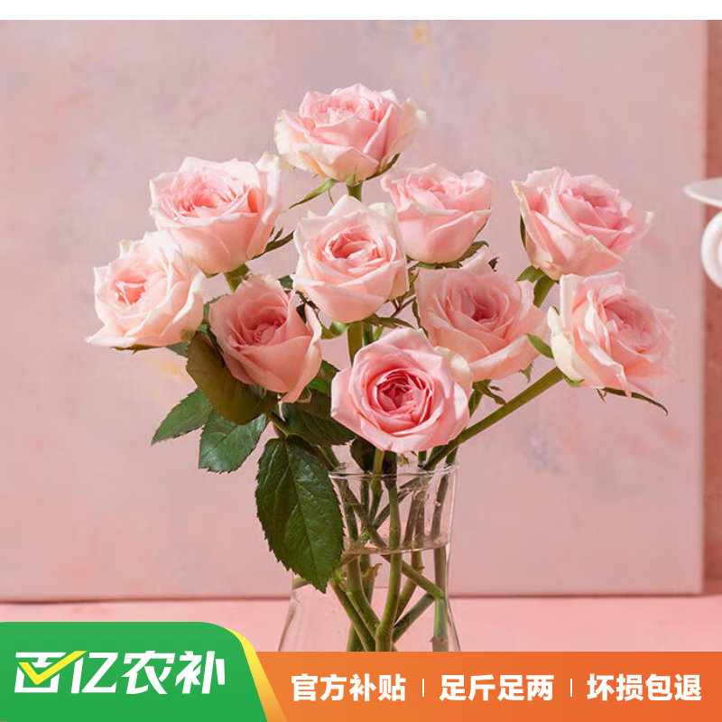 母亲节好礼、京东百亿补贴：花点时间 玫瑰10枝-颜色随机 14.9元