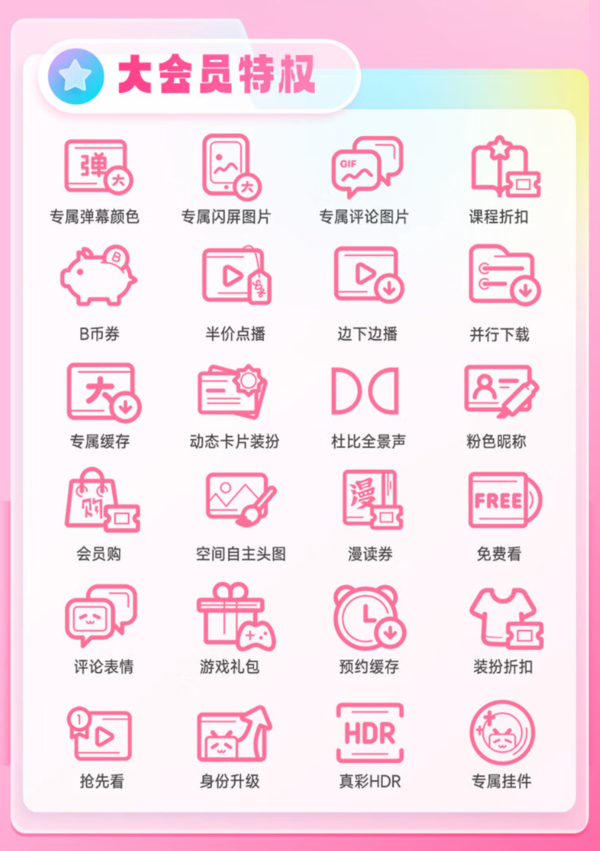 bilibili 嗶哩嗶哩 VIP會(huì)員年卡