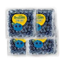 88VIP：DRISCOLLS/怡颗莓 新鲜水果 云南蓝莓 125g*6盒 59.85元包邮